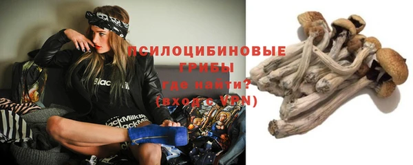 тгк Алзамай