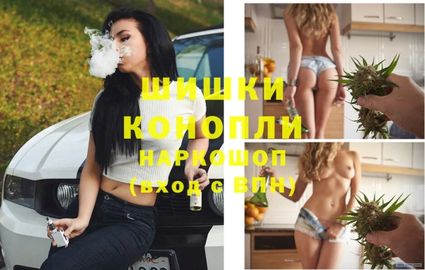 шишки Алексеевка