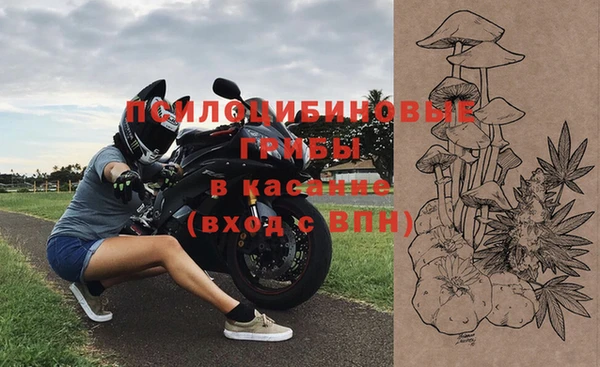тгк Алзамай