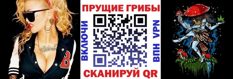 цены наркотик  Тихвин  Галлюциногенные грибы Psilocybine cubensis 