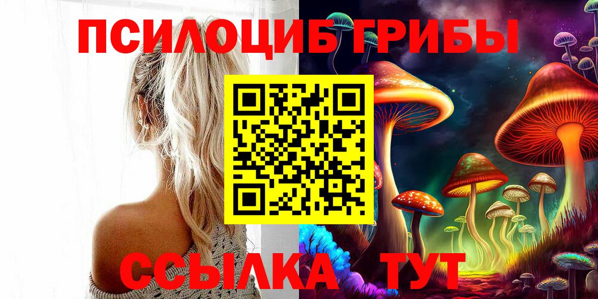 Тихвин  Псилоцибиновые грибы Psilocybine cubensis  цена наркотик  Вход с VPN 